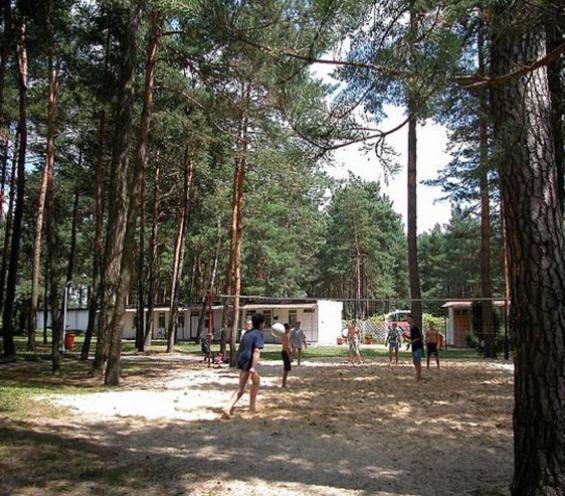 Centrum Szkolenia I Rekreacji Krasnobród エクステリア 写真